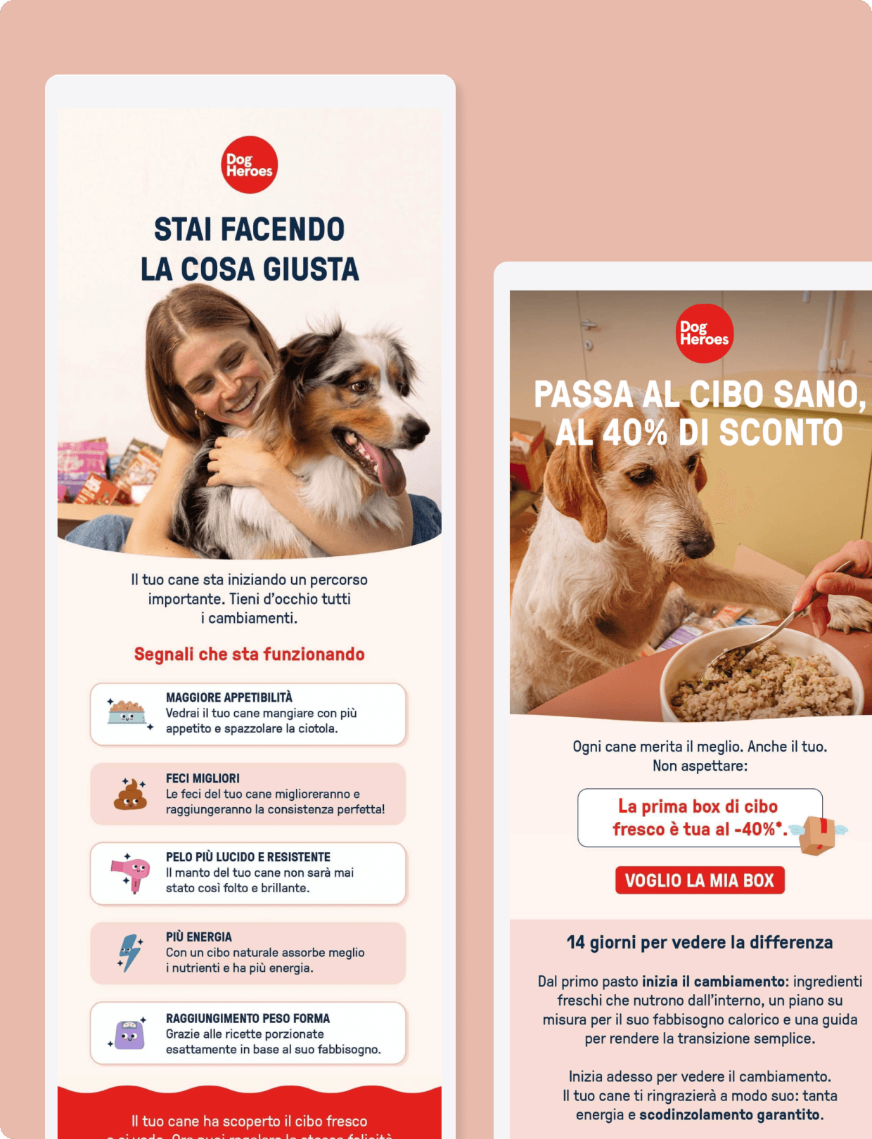 Dog Heroes customers segmentation for emails