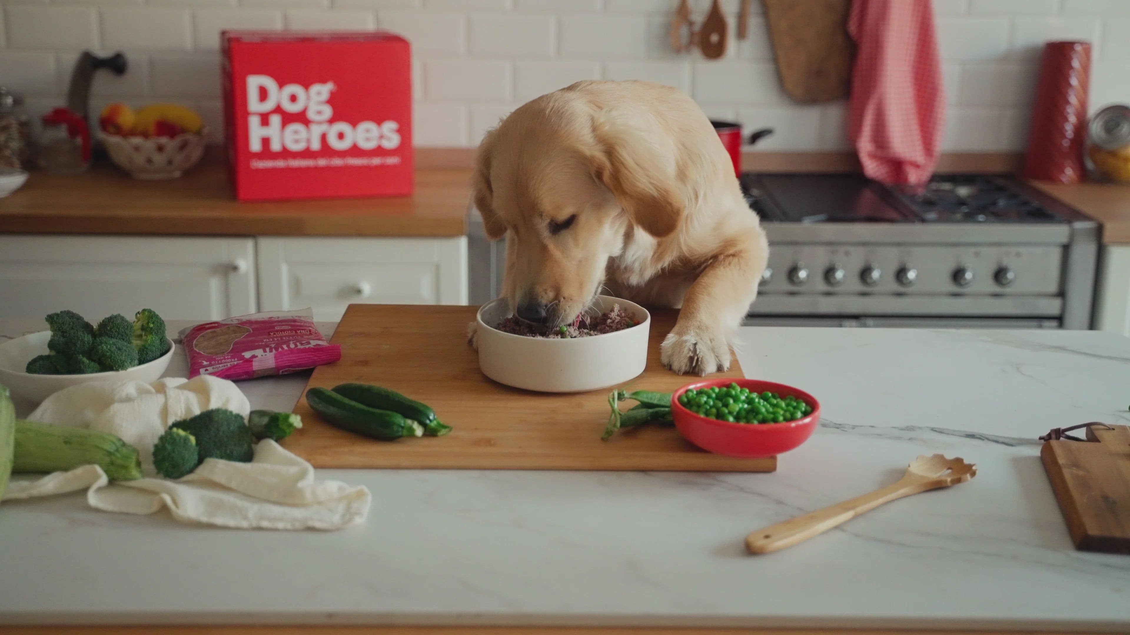 A dog eating the food for heroes