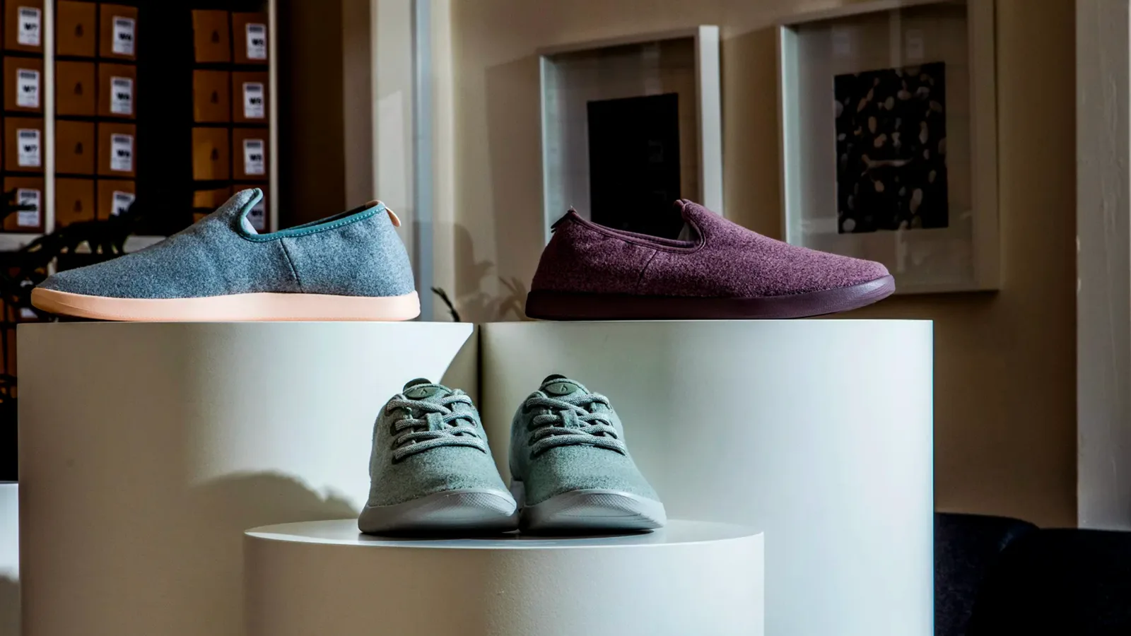 Allbirds sneakers on display in a store.